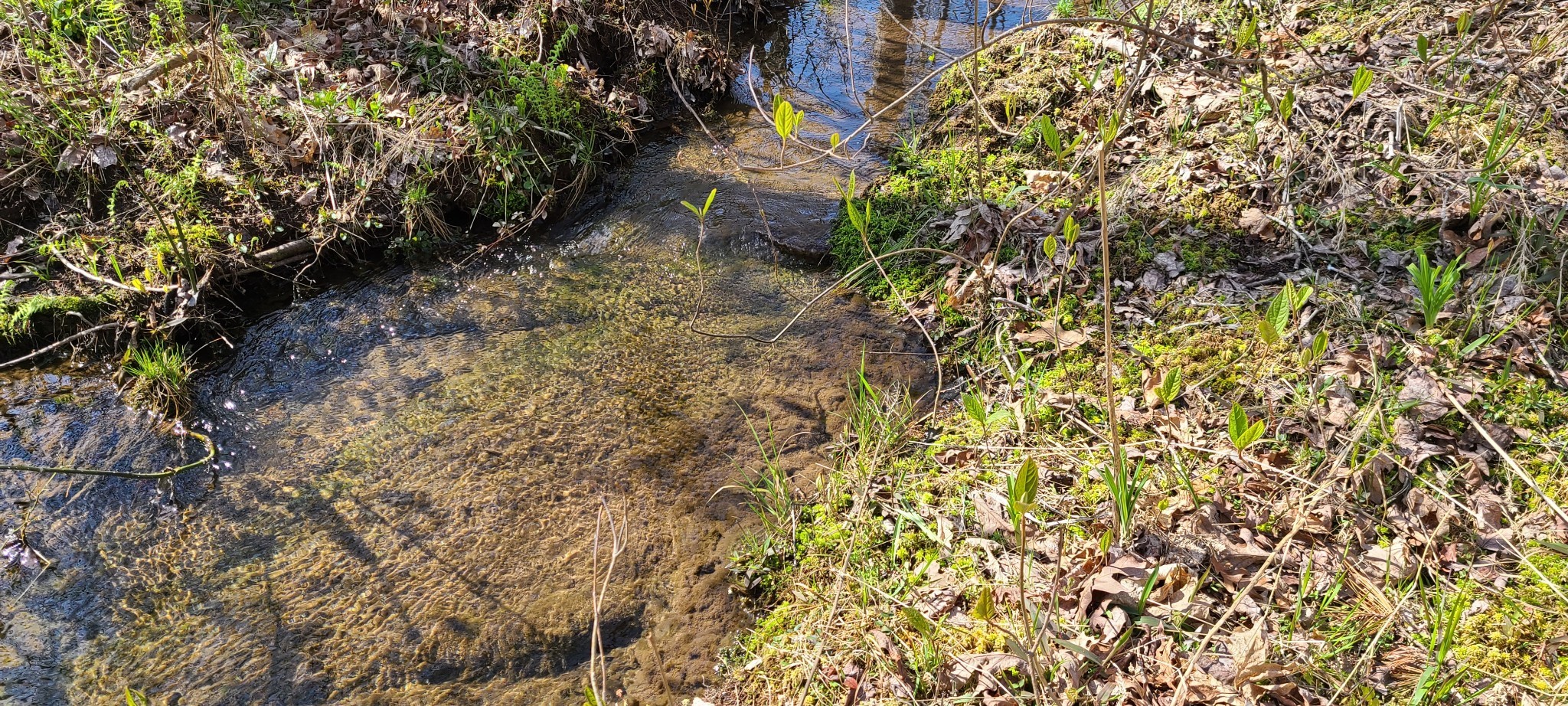 0 Gap Road McMinnville, TN 37110 - Photo 7 of 37