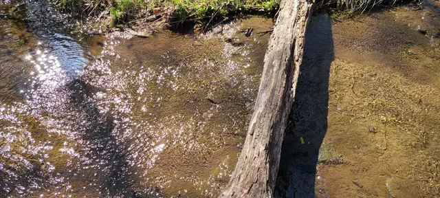 $270,960 | 0 Gap Road, McMinnville, TN 37110