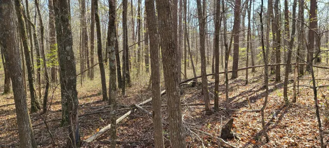 $270,960 | 0 Gap Road, McMinnville, TN 37110