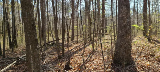 $270,960 | 0 Gap Road, McMinnville, TN 37110