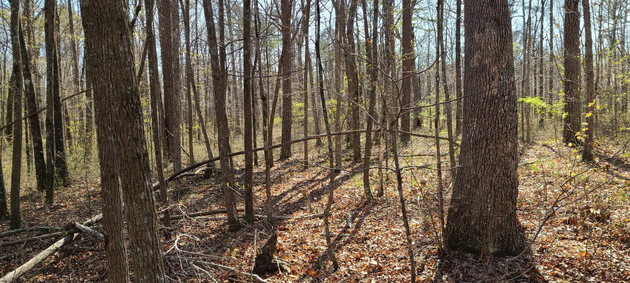 0 Gap Road McMinnville, TN 37110 - Photo 10 of 37