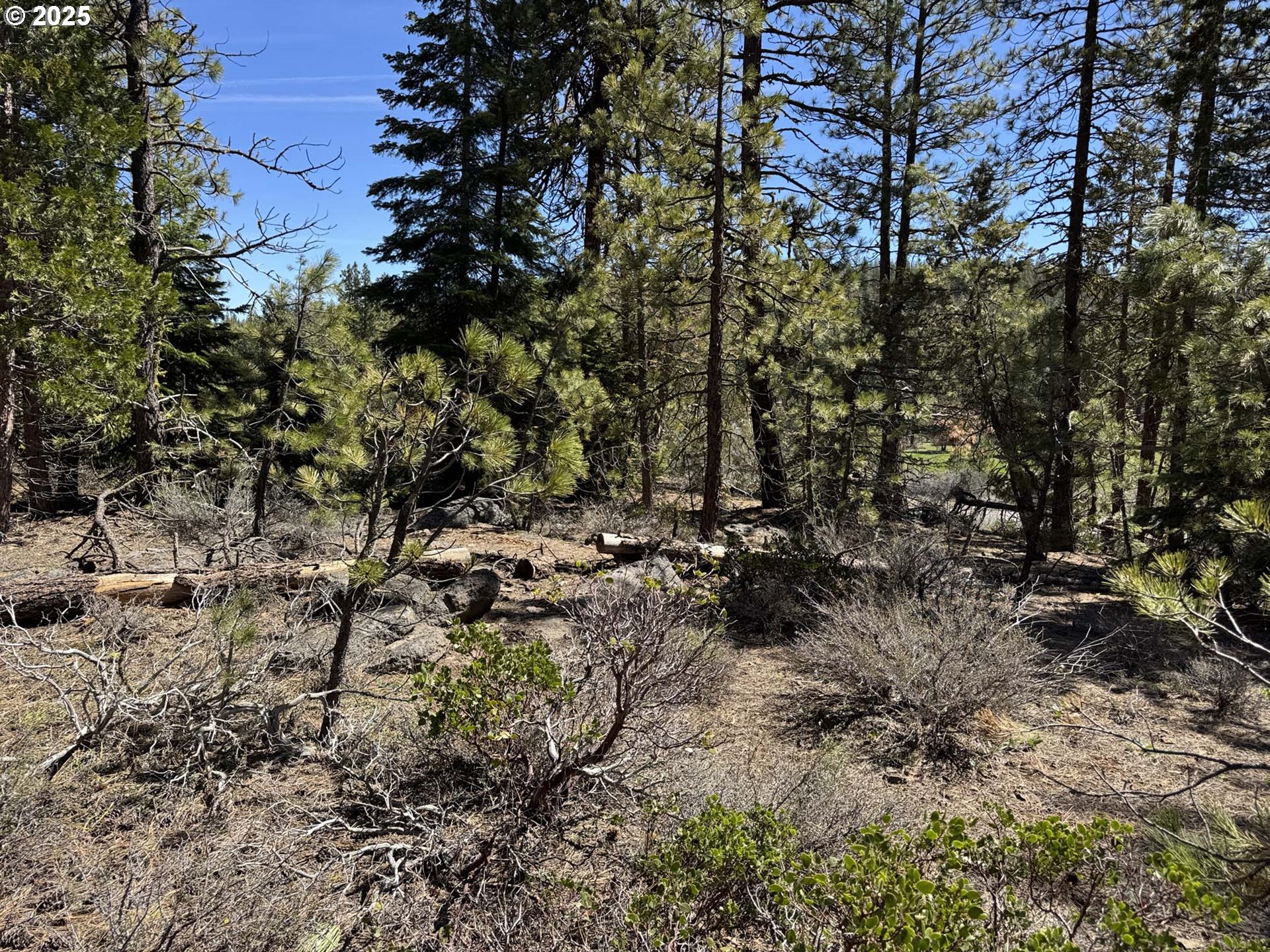 Horned Owl Lane Bonanza, OR 97623 - Photo 17 of 44