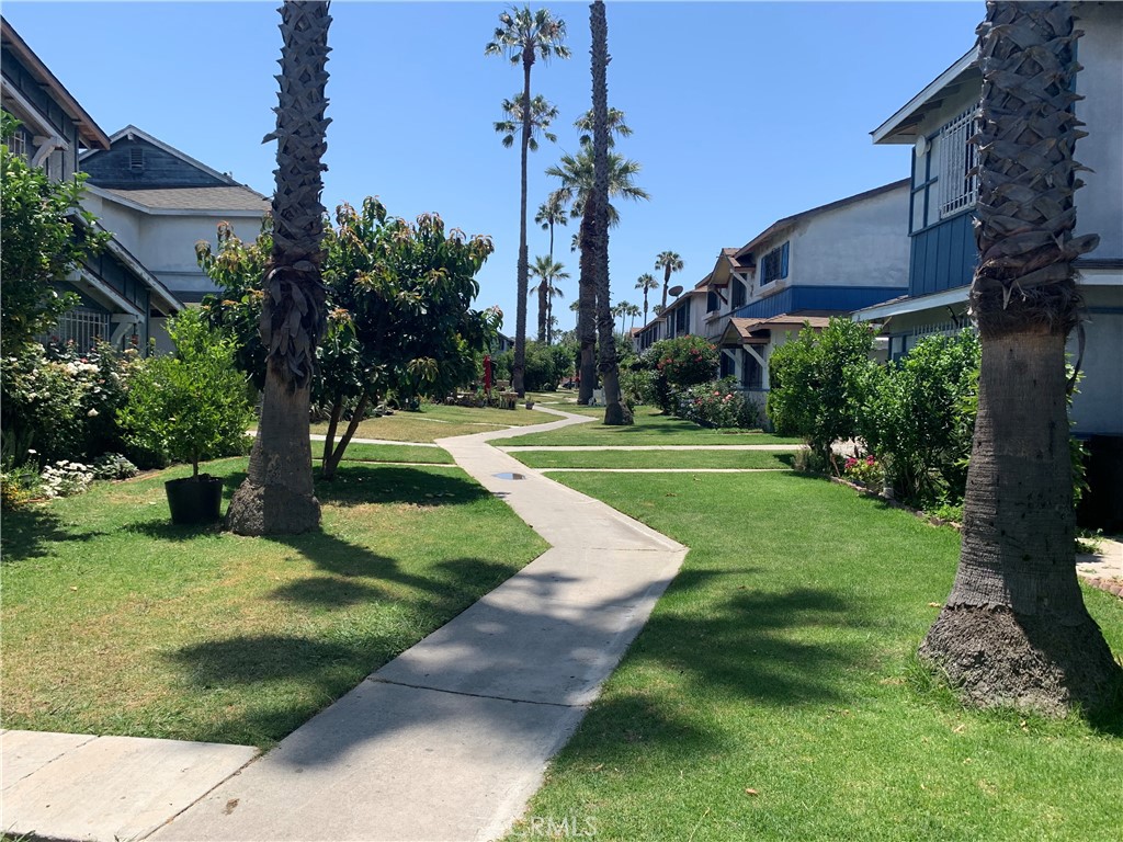 a view of a park with a tree in the grass
