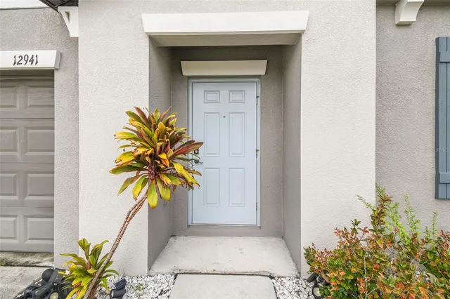 a potted plant in front of a door