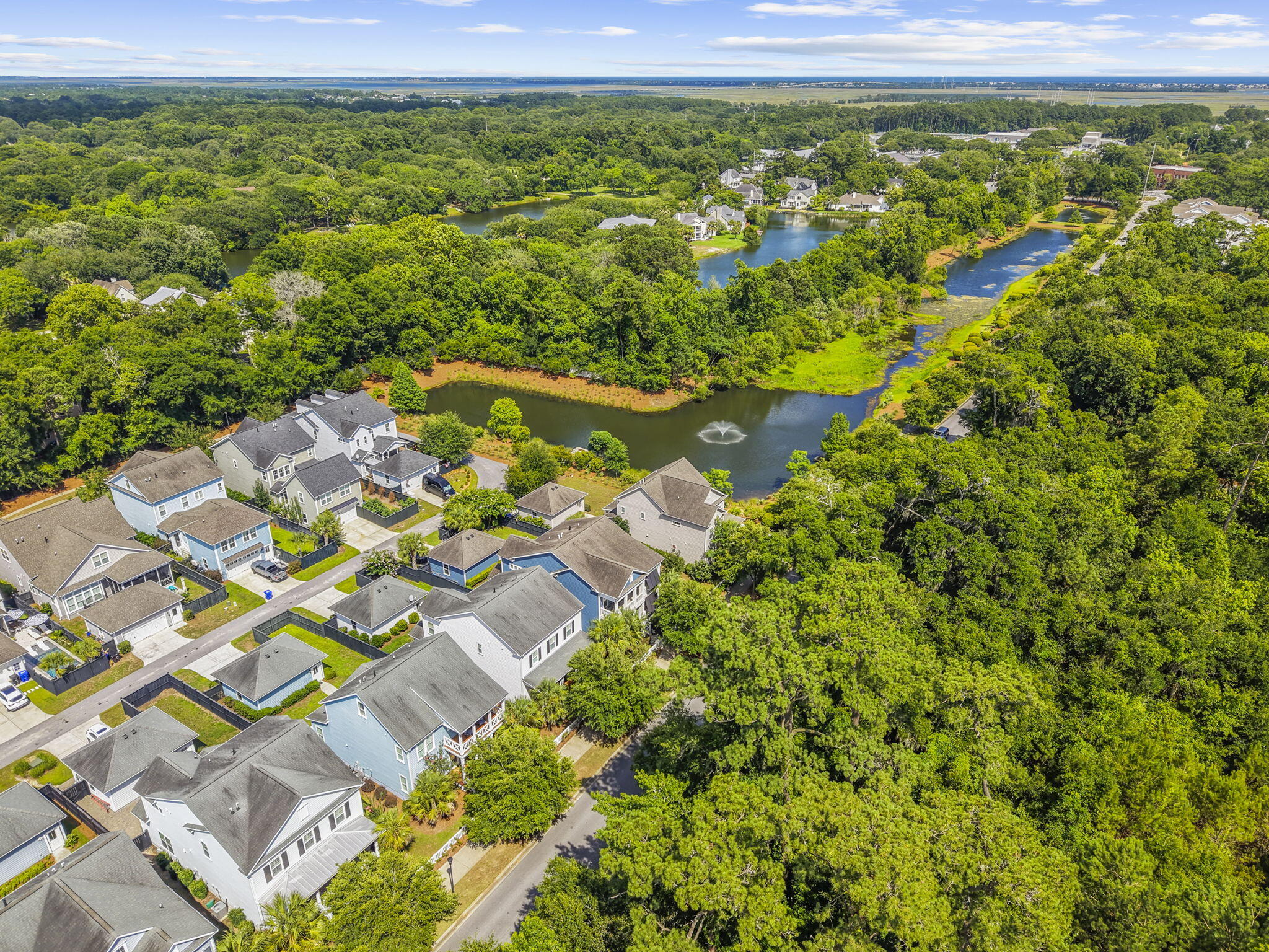 1372 Founders Way Mount Pleasant, SC 29464 - Photo 53 of 55 7-web-or-mls-DJI_20260622155140_0996_D