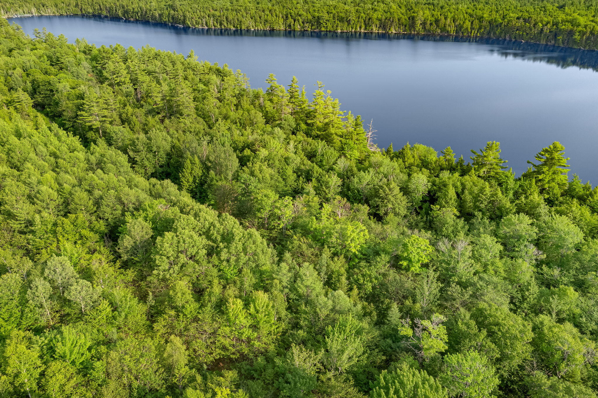 Lot 1-3 Bill Green Road Lee, ME 04455 - Photo 61 of 65 65-web-or-mls-bill-green-pond-rd