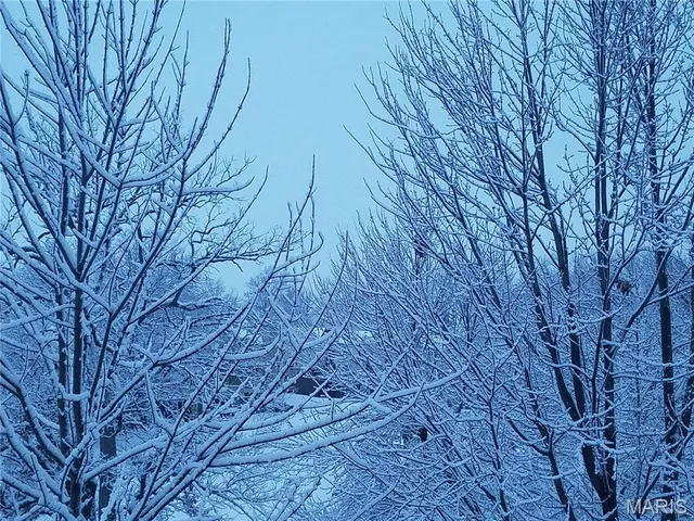 $230,000 | 3110 Autumn Shores Drive, Maryland Heights, MO 63043