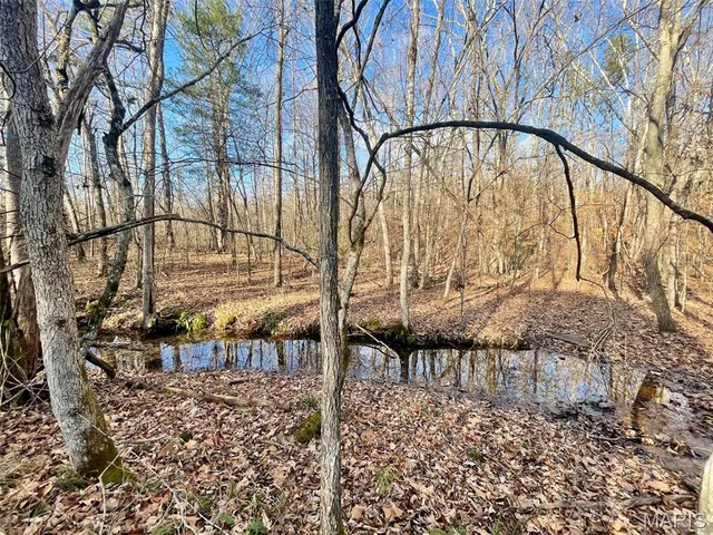 $89,900 | 1220 Madison 450, Silva, MO 63964