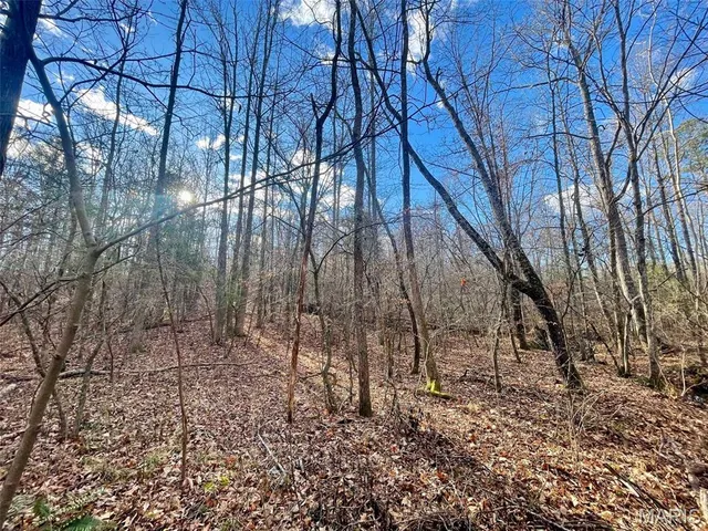 $89,900 | 1220 Madison 450, Silva, MO 63964