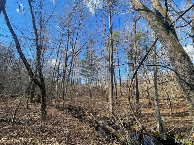 $89,900 | 1220 Madison 450, Silva, MO 63964