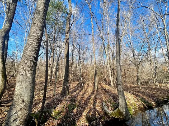 $89,900 | 1220 Madison 450, Silva, MO 63964