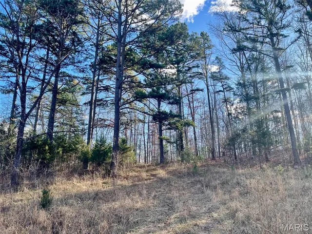 $89,900 | 1220 Madison 450, Silva, MO 63964