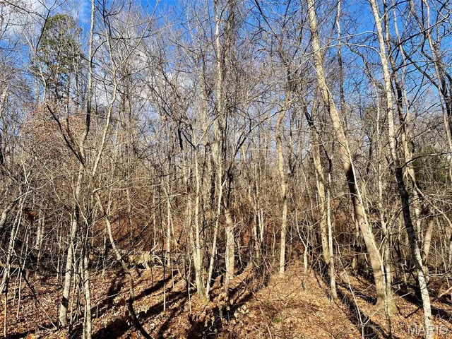 $89,900 | 1220 Madison 450, Silva, MO 63964