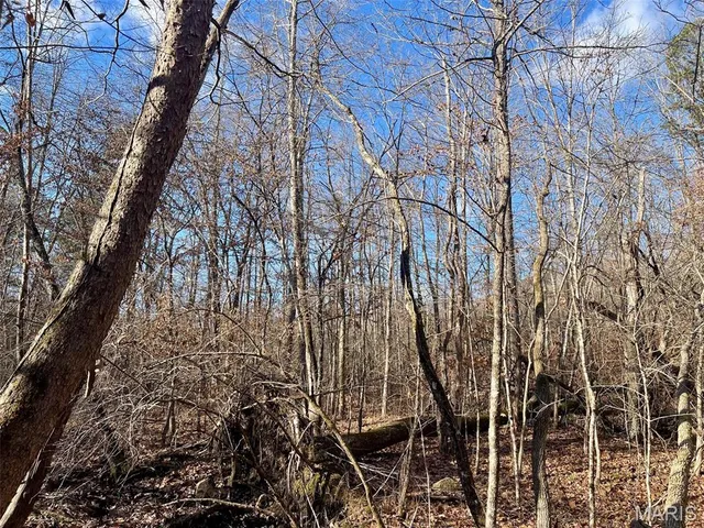 $89,900 | 1220 Madison 450, Silva, MO 63964