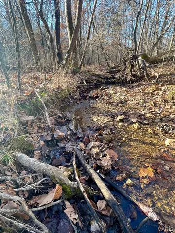 $89,900 | 1220 Madison 450, Silva, MO 63964