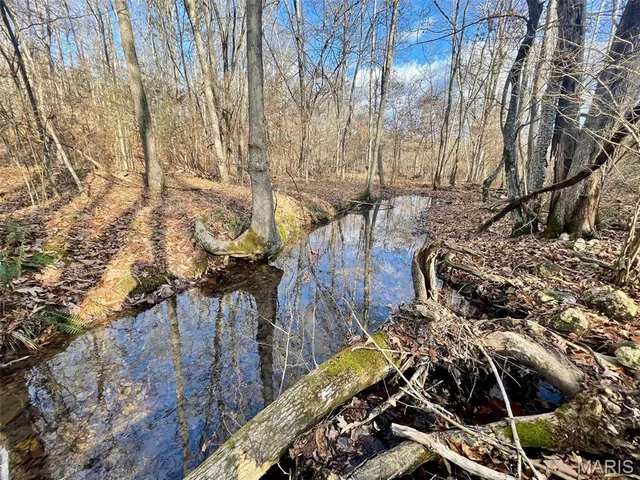 $89,900 | 1220 Madison 450, Silva, MO 63964