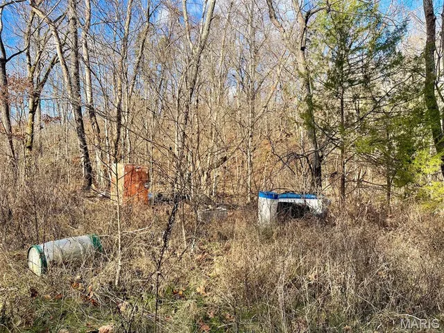 $89,900 | 1220 Madison 450, Silva, MO 63964