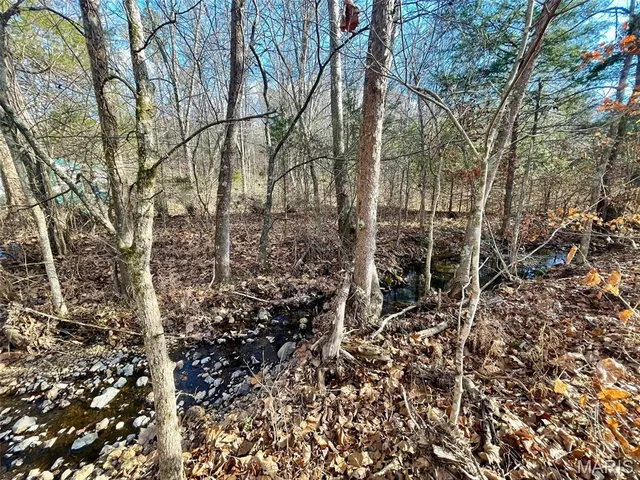 $89,900 | 1220 Madison 450, Silva, MO 63964