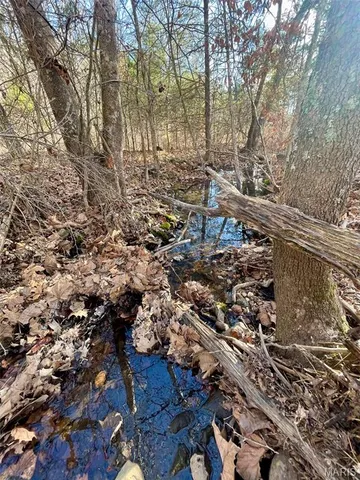 $89,900 | 1220 Madison 450, Silva, MO 63964