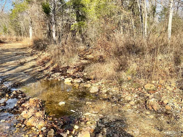 $89,900 | 1220 Madison 450, Silva, MO 63964