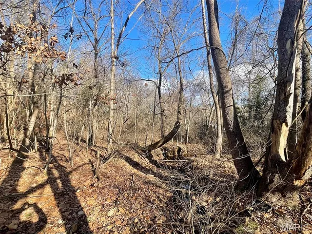 $89,900 | 1220 Madison 450, Silva, MO 63964