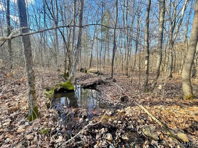 $89,900 | 1220 Madison 450, Silva, MO 63964