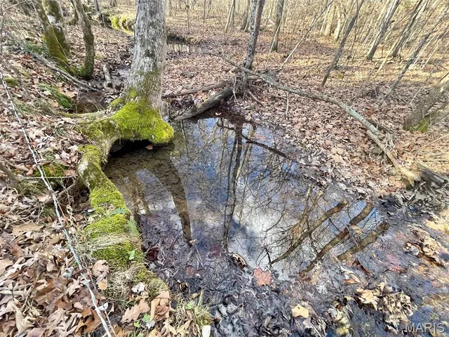 $89,900 | 1220 Madison 450, Silva, MO 63964