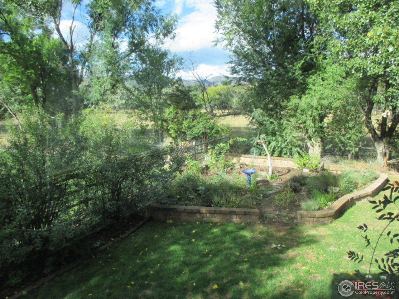3317 Post Road Laporte, CO 80535 - Photo 14 of 14 From Back Yard