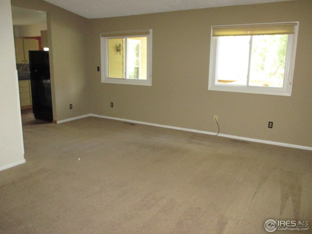 Large Living Room