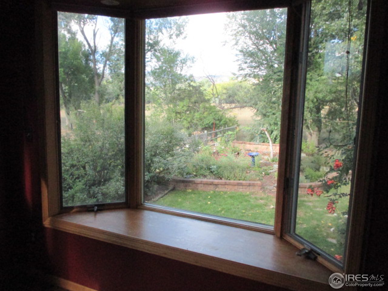 Bay Window Views in Dining