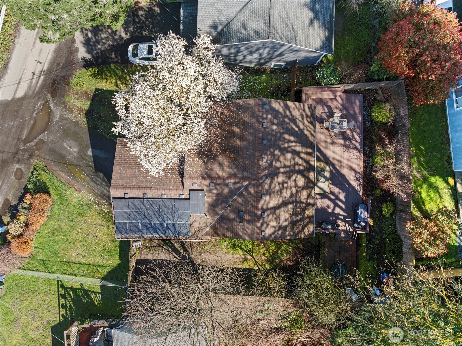 6352 24th Avenue Southwest Seattle, WA 98106 - Photo 29 of 31 a view of a yard