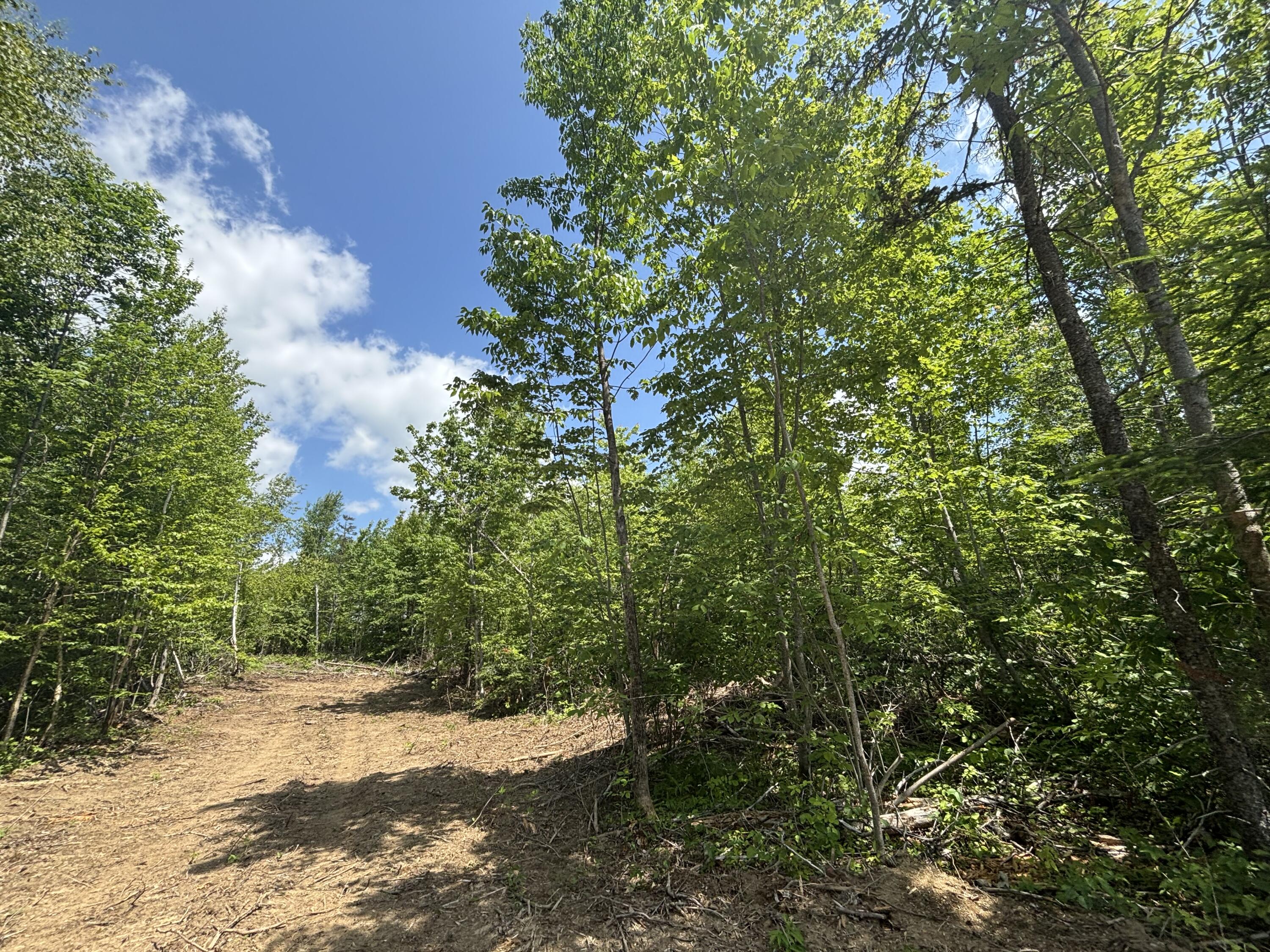 Lot A Mcdonald Road Littleton, ME 04730 - Photo 7 of 8 7