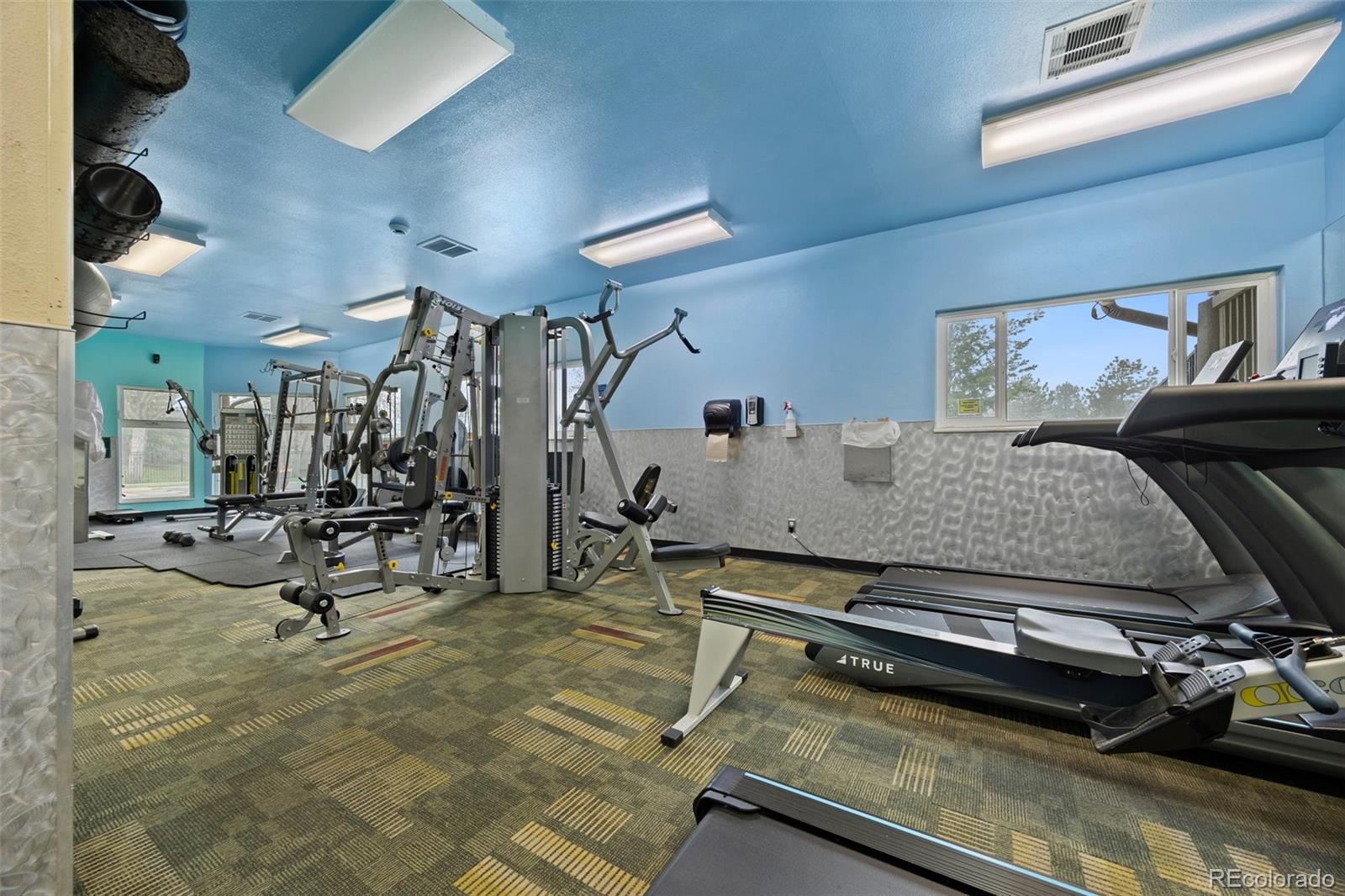 23551 Genesee Village Road, Unit H Golden, CO 80401 - Photo 31 of 40 a view of a room with gym equipment