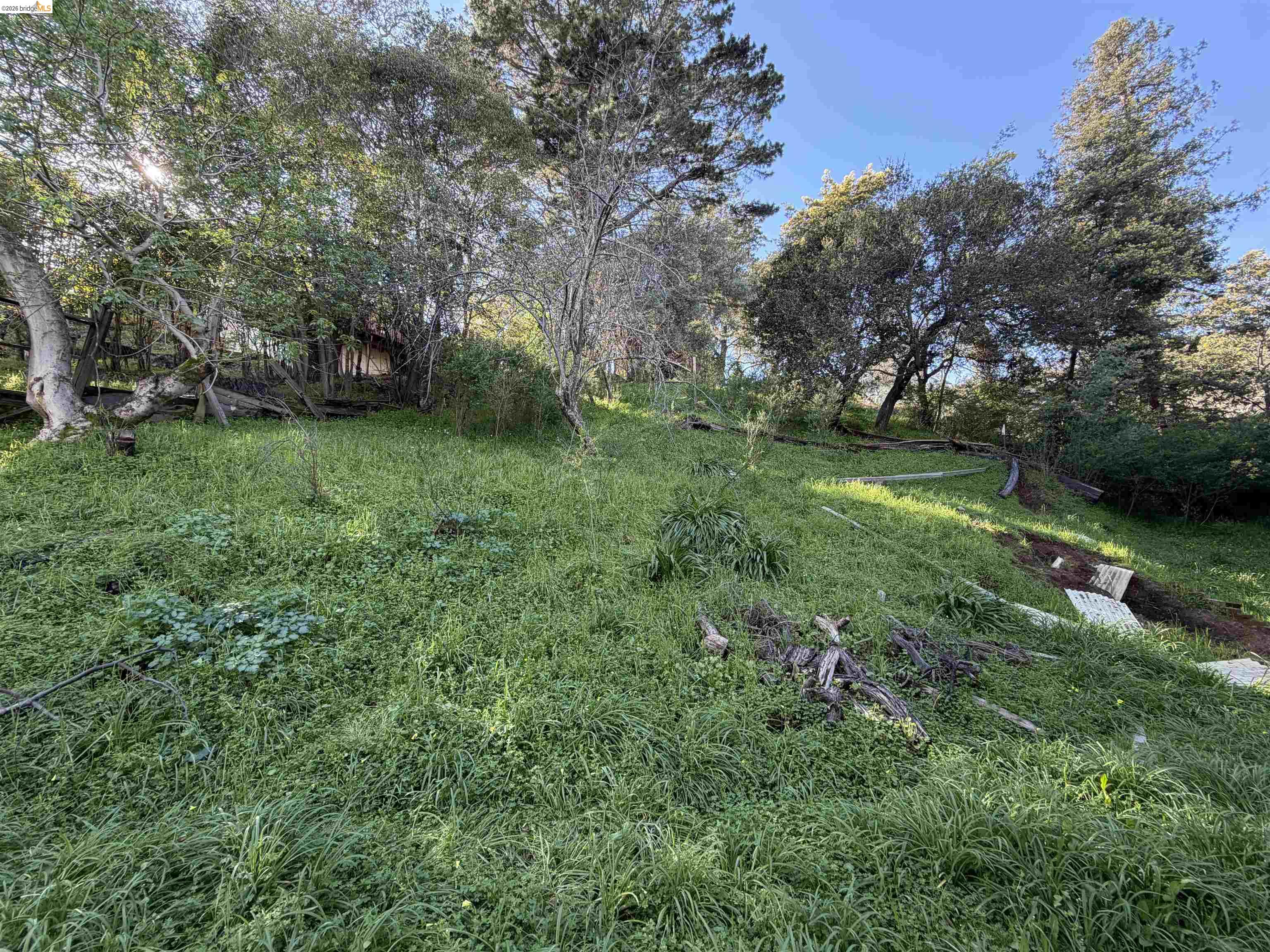 59-60 Clayton Street San Rafael, CA 94901 - Photo 2 of 11 a view of a field with plants and trees