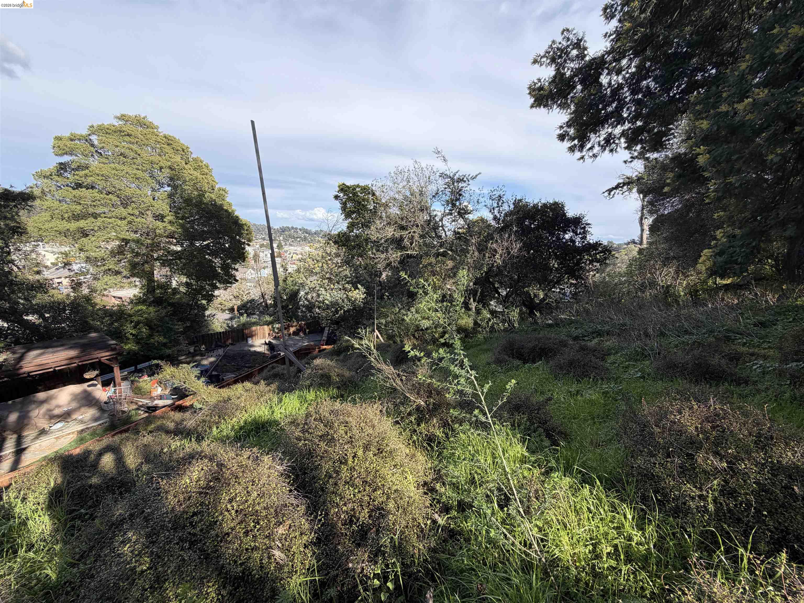 59-60 Clayton Street San Rafael, CA 94901 - Photo 4 of 11 a view of a forest