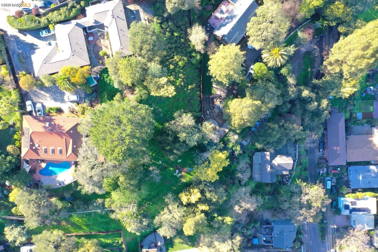 59-60 Clayton Street San Rafael, CA 94901 - Photo 6 of 11 a view of a flower