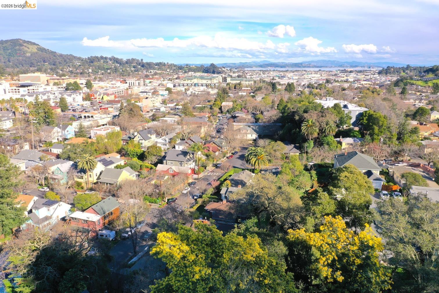 59-60 Clayton Street San Rafael, CA 94901 - Photo 9 of 11 view of city and mountain