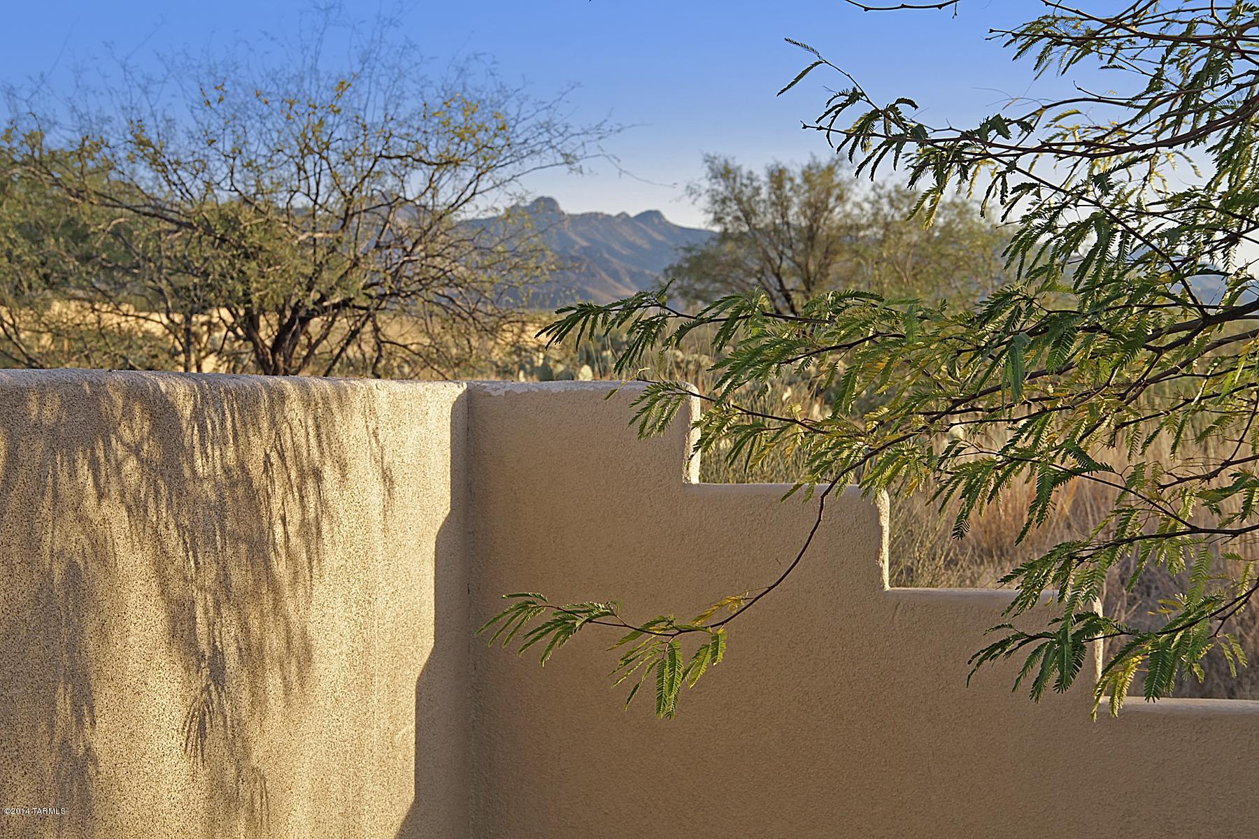 16230 Sycamore Ridge Trail Vail, AZ 85641 - Photo 31 of 32 Gallery Image 31