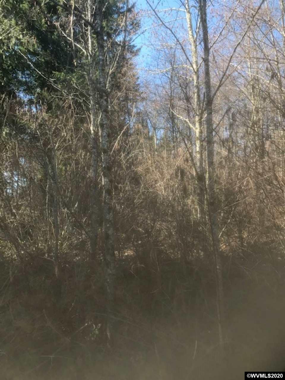 Northwest Smoke Ranch Road Scappoose, OR 97056 - Photo 4 of 10