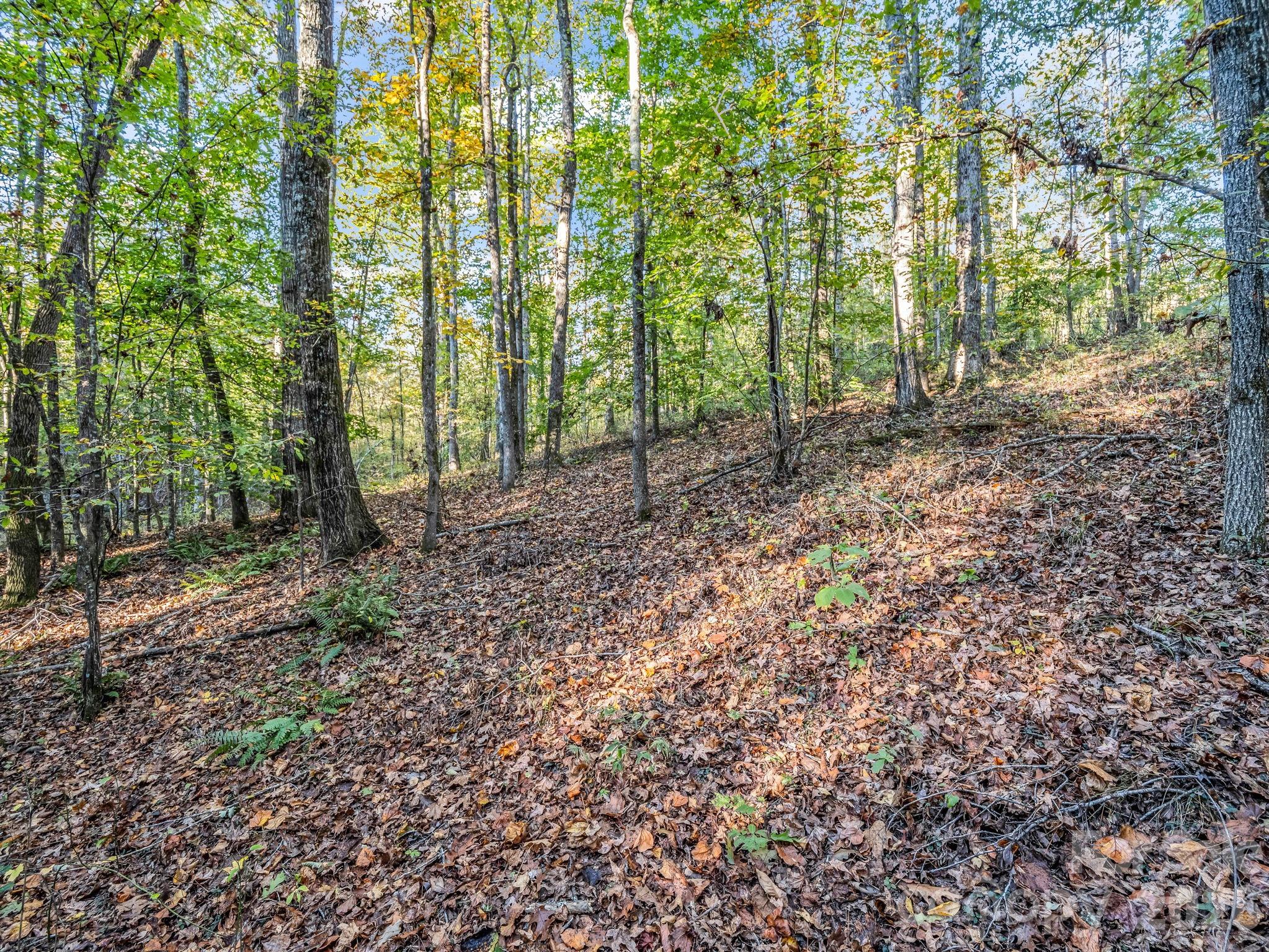 663 Landrum Road Columbus, NC 28722 - Photo 31 of 42 Gallery Image 31