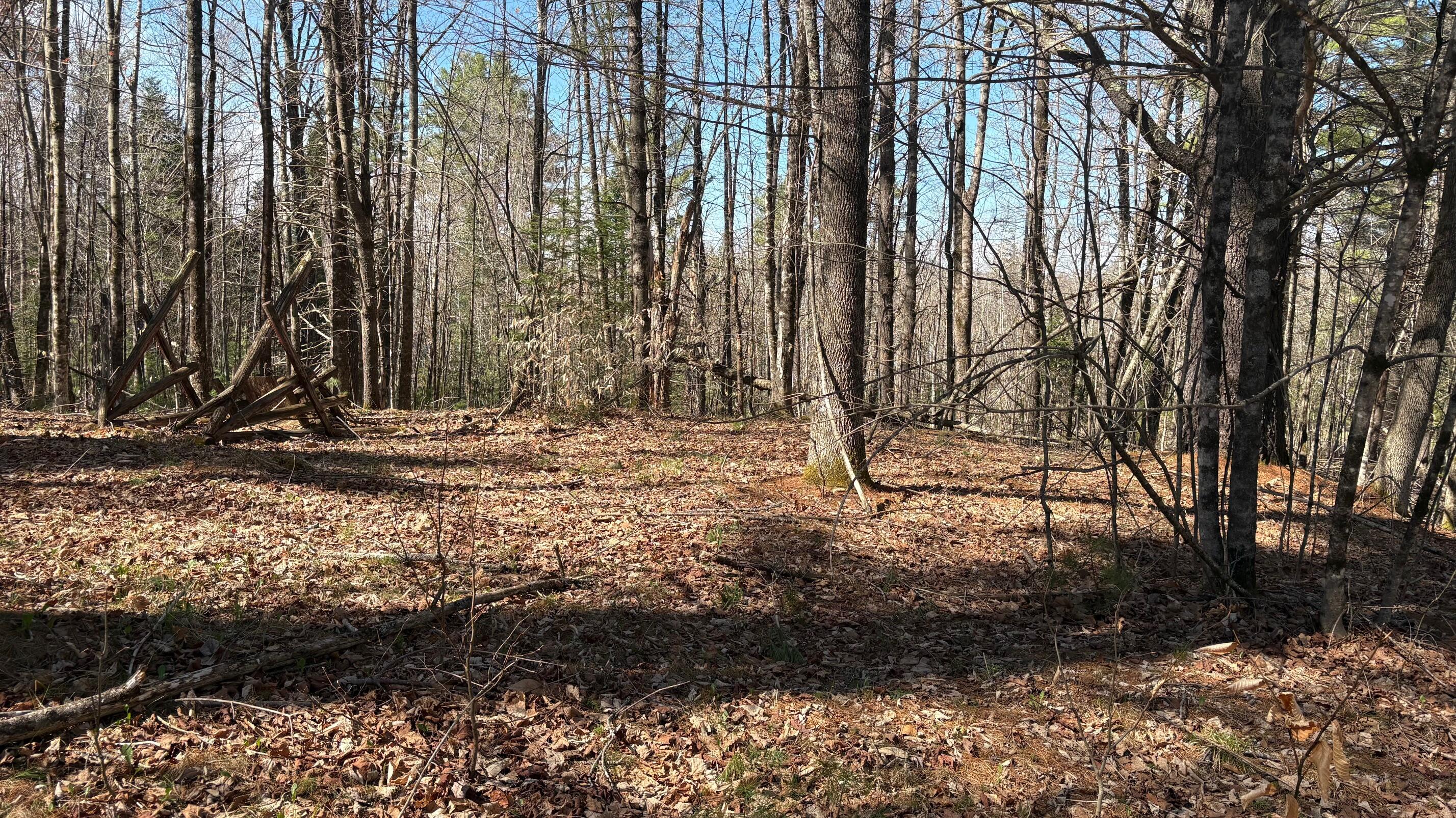 13 Mayhew Road Starks, ME 04911 - Photo 2 of 28