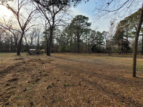 a view of yard with trees
