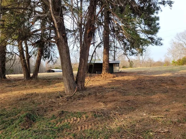 a big yard with large trees