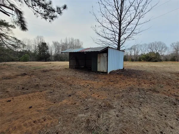 a view of backyard and tree
