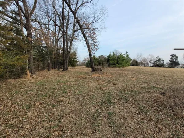 a view of a field with trees in the background
