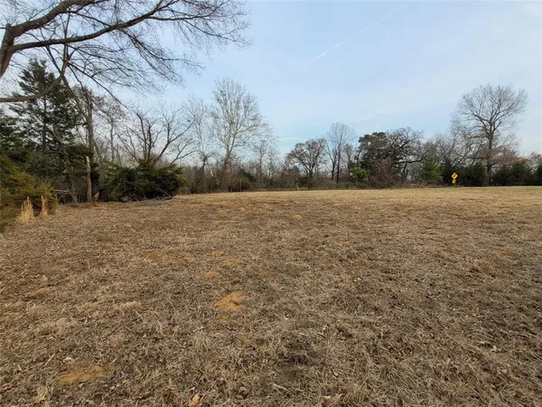 a big yard with lots of green space