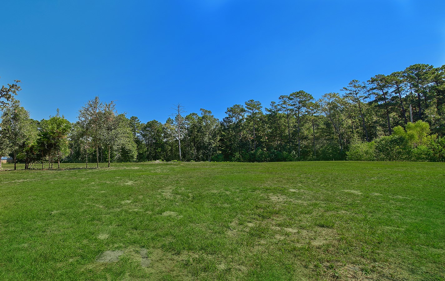 7185 Highway 75 Huntsville, TX 77340 - Photo 11 of 33 a view of field with tall trees