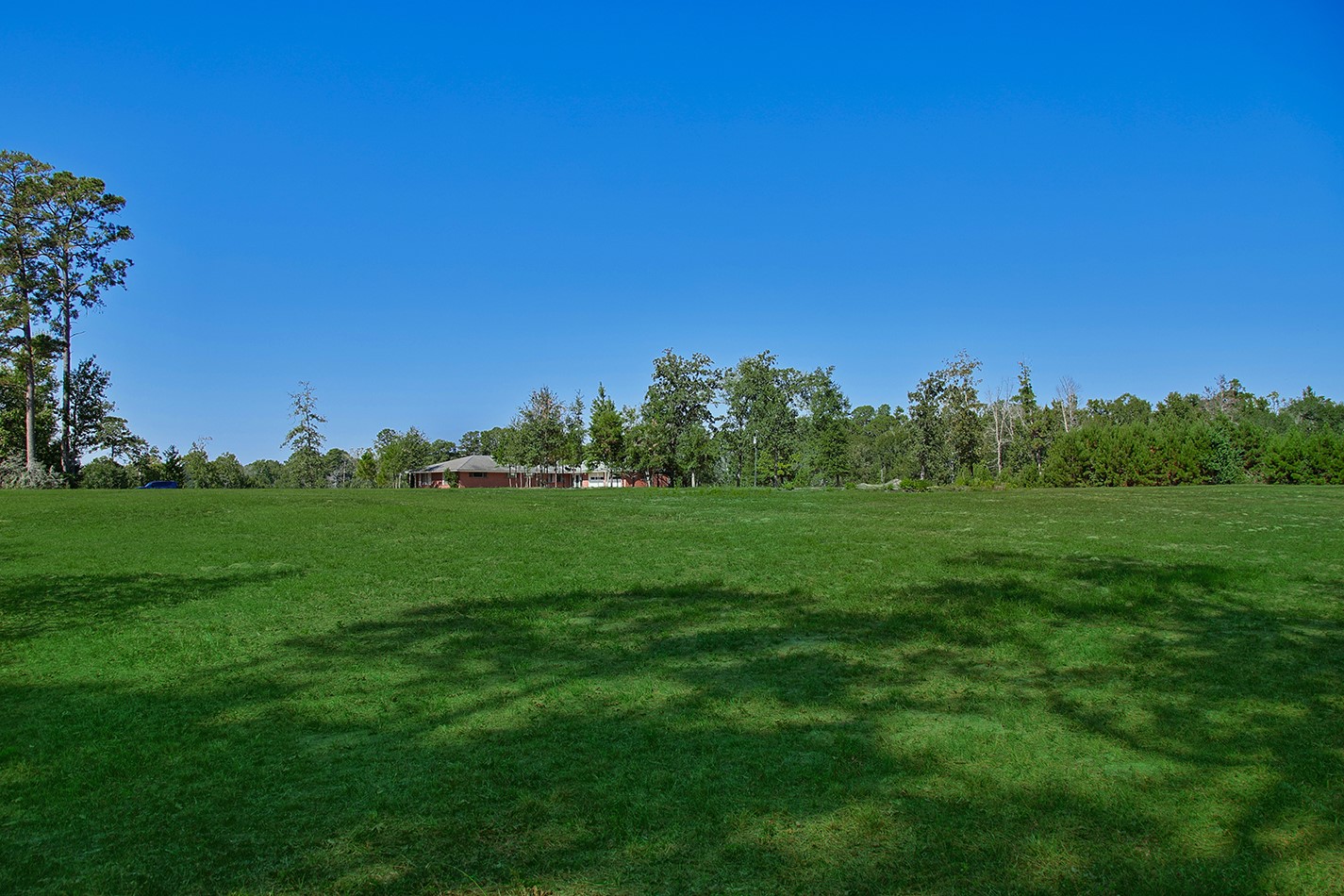 7185 Highway 75 Huntsville, TX 77340 - Photo 13 of 33 a view of a grassy field with trees