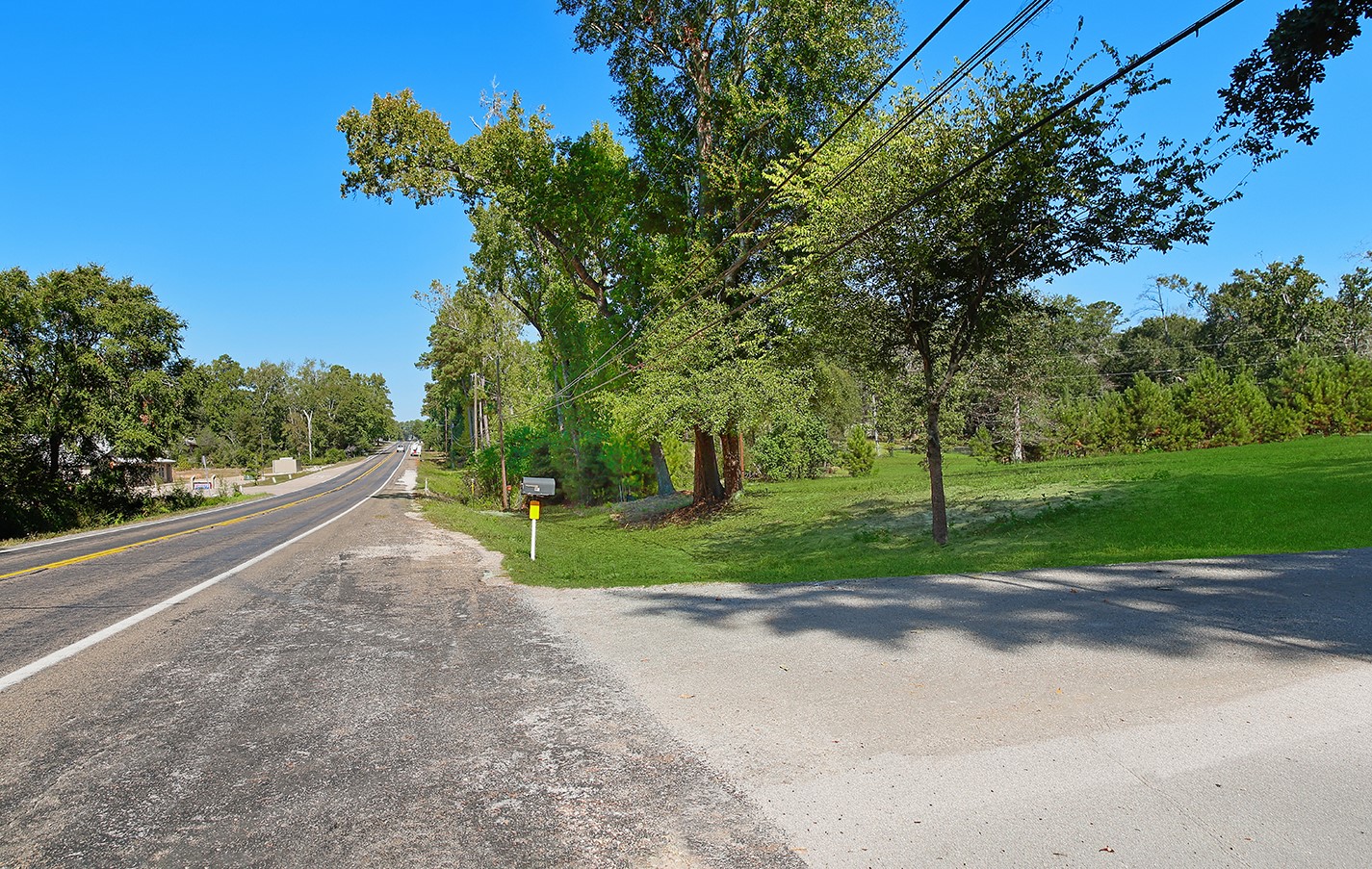 7185 Highway 75 Huntsville, TX 77340 - Photo 3 of 33 a view of a street with a yard and large trees
