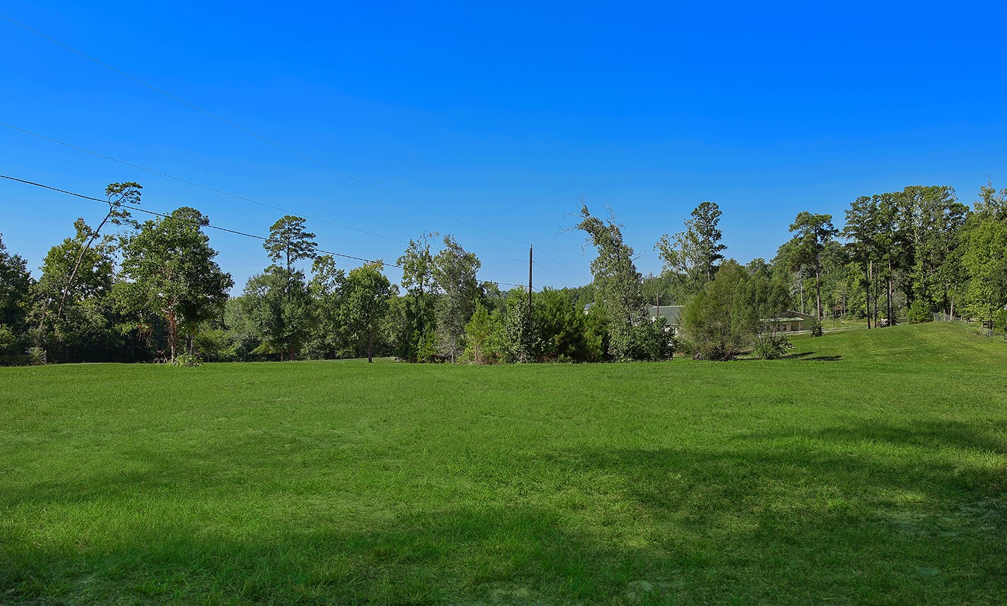 7185 Highway 75 Huntsville, TX 77340 - Photo 7 of 33 a view of a grassy field with trees